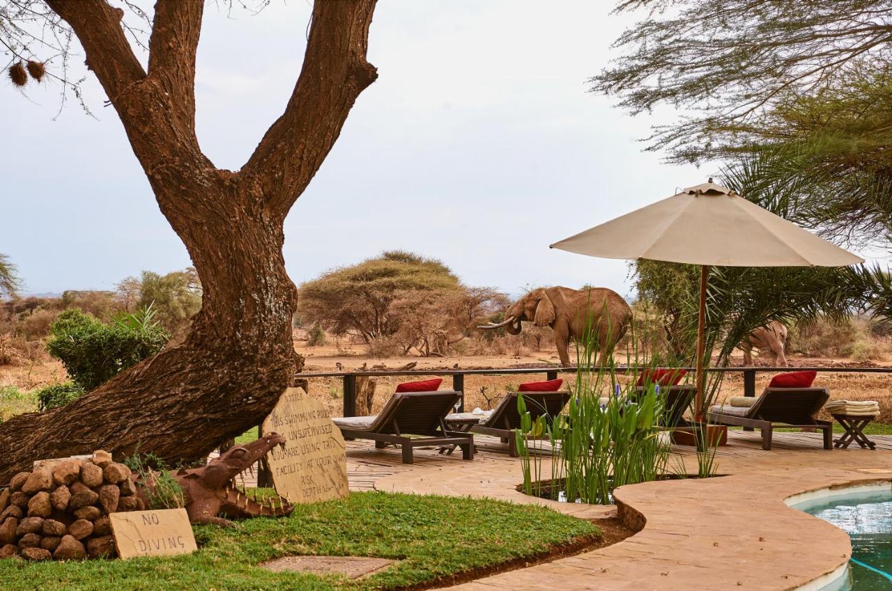 אמבוסלי Tawi Lodge מראה חיצוני תמונה